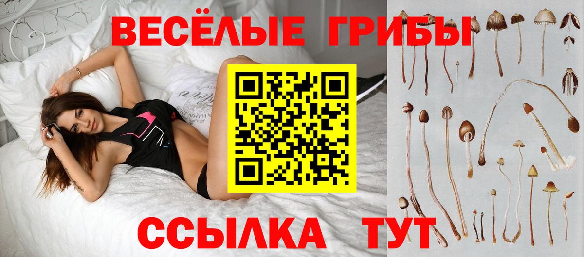 Псилоцибиновые грибы мухоморы Минусинск