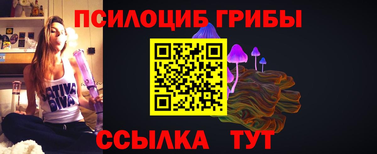 Минусинск  Псилоцибиновые грибы мухоморы  Вход с VPN 